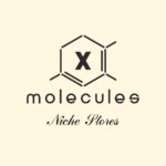 X Molecules